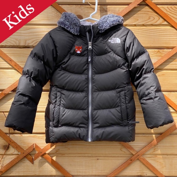 The North Face Other - North Face kid’s winter coat, size 3T